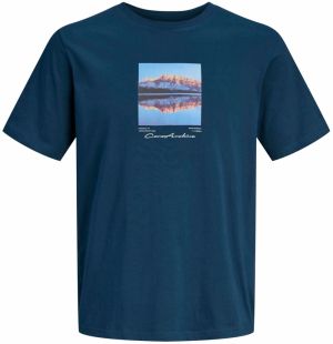 Jack & Jones Plus Tričko 'JCOPOINT'  tmavobéžová / námornícka modrá / svetlomodrá / biela