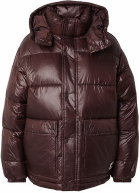 Carhartt WIP Zimná bunda 'Benson'  čokoládová