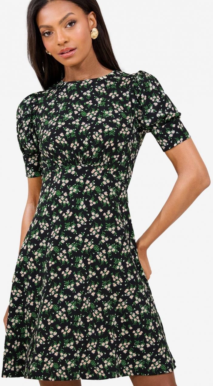 Lipsy Šaty  zelená / čierna / biela