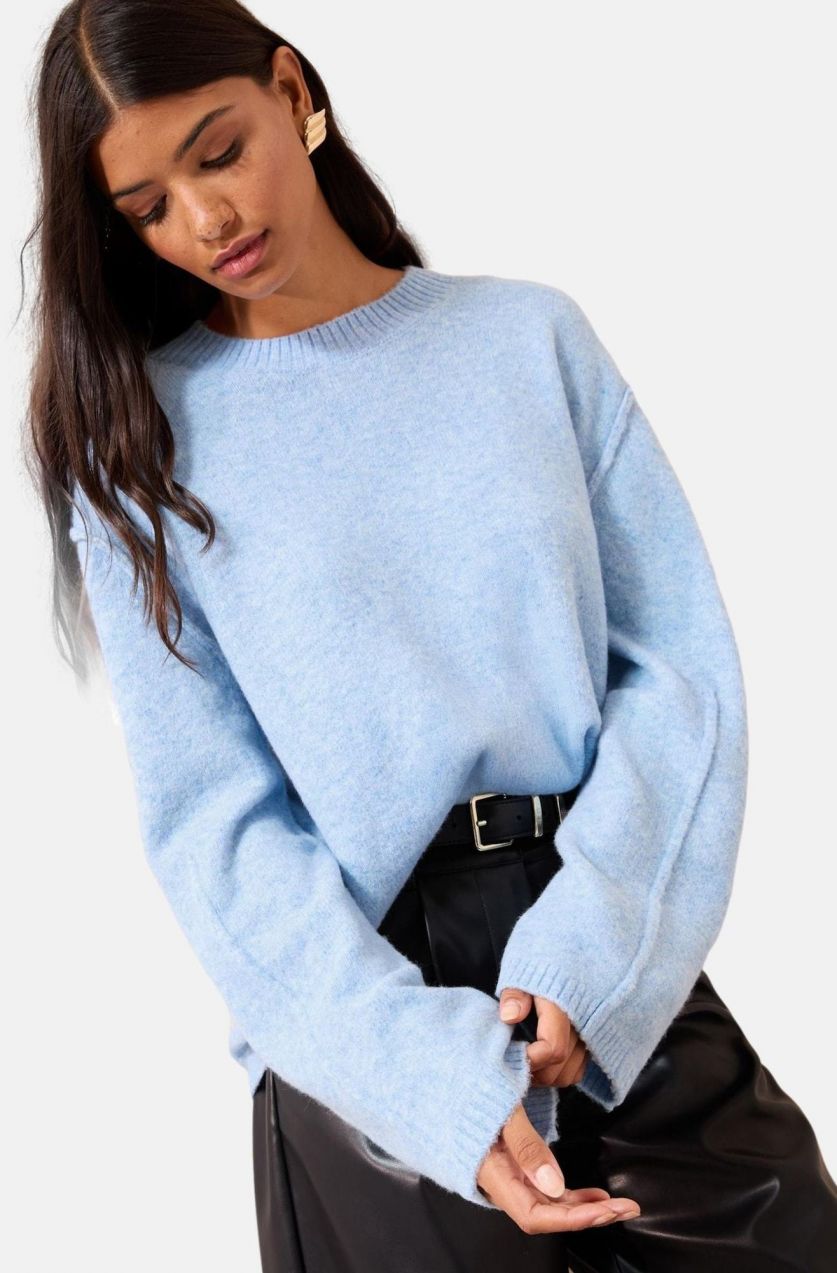 Friends Like These Sveter  svetlomodrá