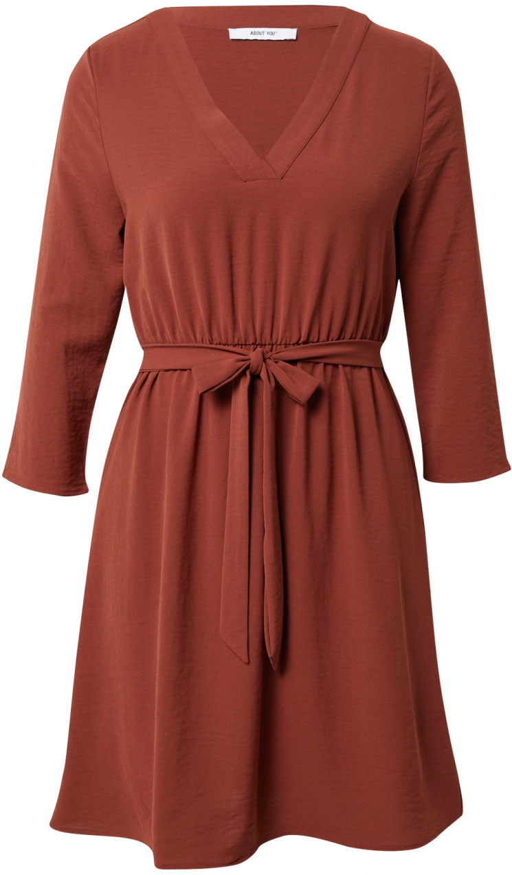 ABOUT YOU Šaty  hnedá