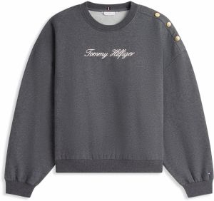 TOMMY HILFIGER Mikina  tmavosivá / biela