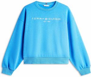 TOMMY HILFIGER Mikina  azúrová / biela