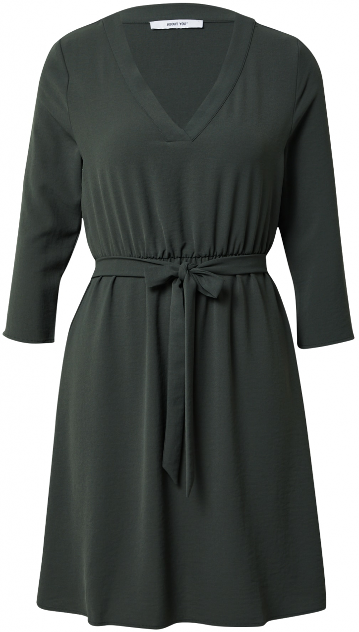 ABOUT YOU Šaty  zelená