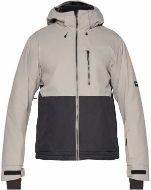 ICEPEAK Športová bunda 'CHESTER'  svetlosivá / čierna