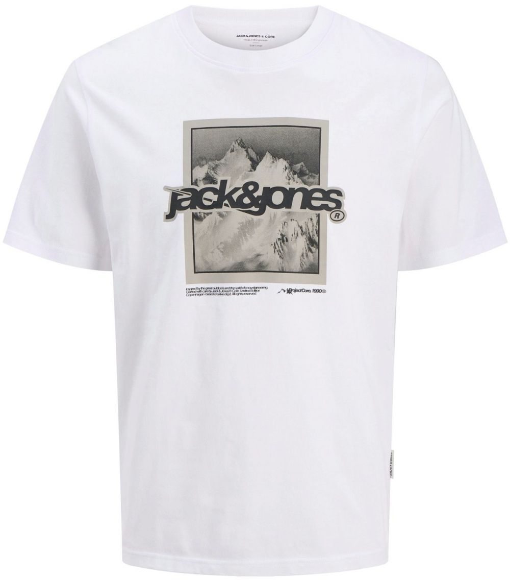 JACK & JONES Tričko 'JCOFLARE'  tmavošedá / čierna / biela