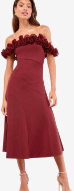 Lipsy Šaty  burgundská