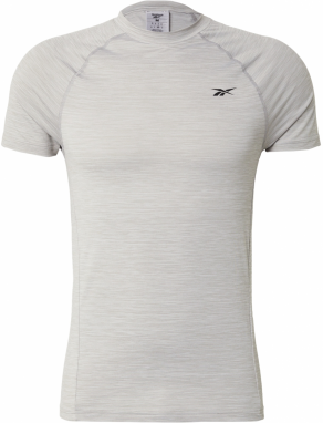 Reebok Funkčné tričko 'ARNIE'  svetlosivá