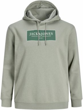 Jack & Jones Plus Mikina 'JORGREENE'  jedľová / pastelovo zelená / biela
