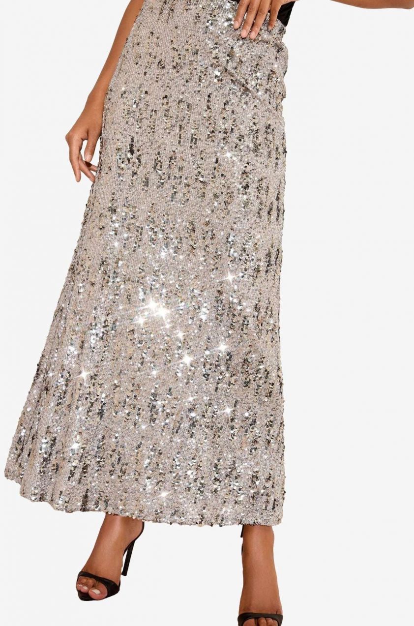 Friends Like These Sukňa  strieborná