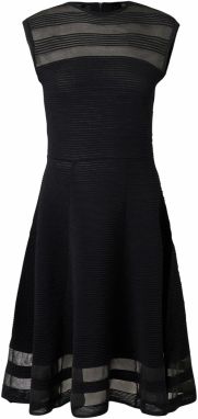 Ted Baker Šaty 'SUUSAAN'  čierna