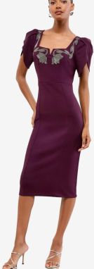 Lipsy Šaty  tmavofialová