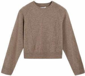 Scalpers Sveter 'Scmer R'  hnedá melírovaná