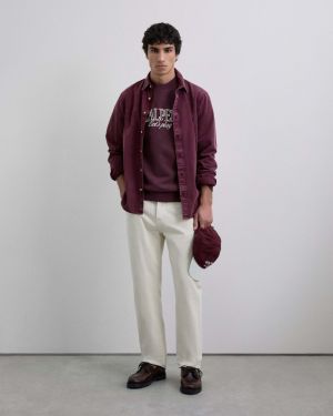 Scalpers Mikina 'Play'  béžová / burgundská