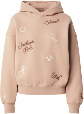 Abercrombie & Fitch Mikina  hnedá / kapučíno / biela