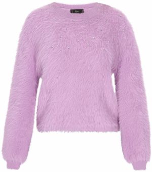 faina Sveter  slivková