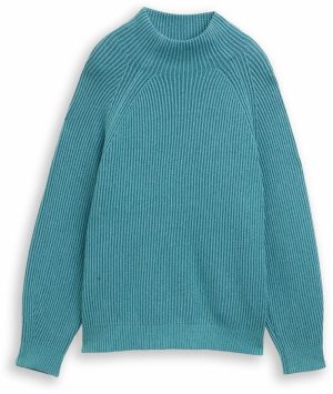 TOM TAILOR Sveter  modrozelená