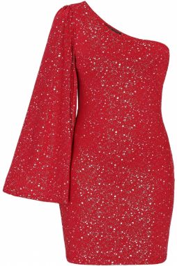 faina Kokteilové šaty  burgundská / strieborná