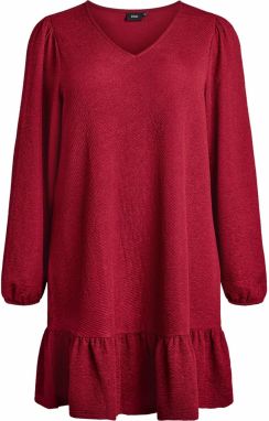 Zizzi Šaty 'Mzenia'  červená