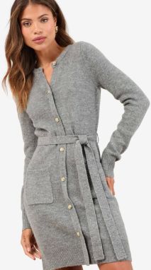 Lipsy Šaty  dymovo šedá