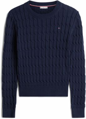 TOMMY HILFIGER Sveter  námornícka modrá