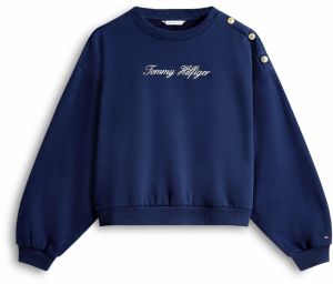 TOMMY HILFIGER Mikina  modrá / biela