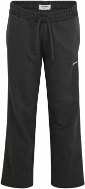 Jack & Jones Plus Nohavice 'JPSTKANE NORREBRO'  sivá