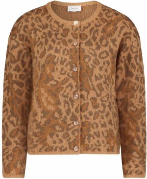 Cartoon Kardigán  farba ťavej srsti / hnedá / brokátová