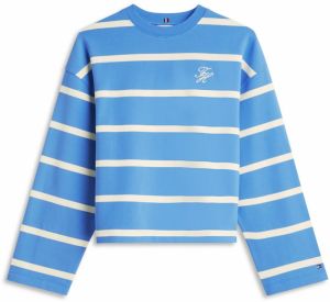 TOMMY HILFIGER Mikina  nebesky modrá / biela