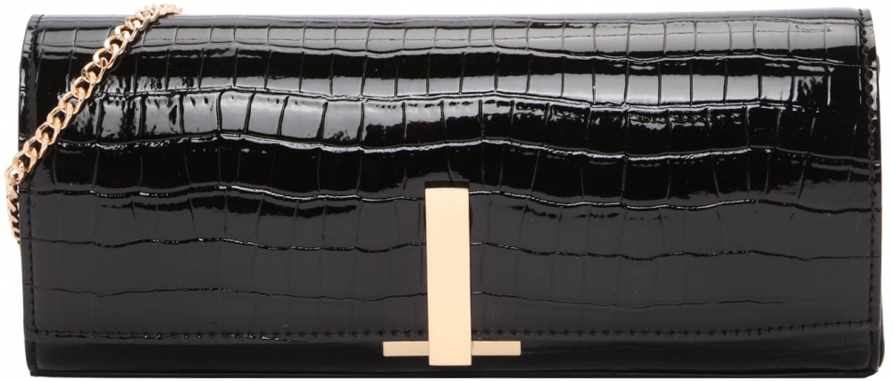 ALDO Listová kabelka 'Alorisa'  čierna