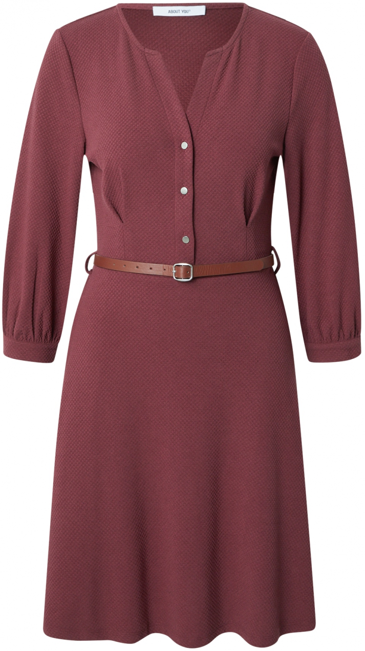 ABOUT YOU Šaty 'Ilona'  hnedá / bordová