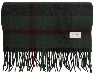 Scalpers Šál 'Chekcs'  zelená / tmavozelená / bordová
