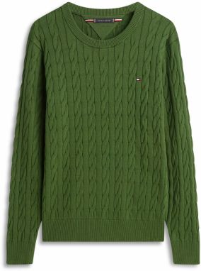 TOMMY HILFIGER Sveter 'Classic'  námornícka modrá / zelená / červená / biela