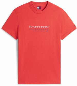 Tommy Jeans Tričko  modrá / svetlomodrá / pastelovo zelená / červená