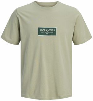 Jack & Jones Plus Tričko 'JORGreene'  svetlozelená / tmavozelená / biela