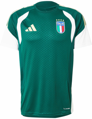 ADIDAS PERFORMANCE Dres 'FIGC TR JSY'  zelená