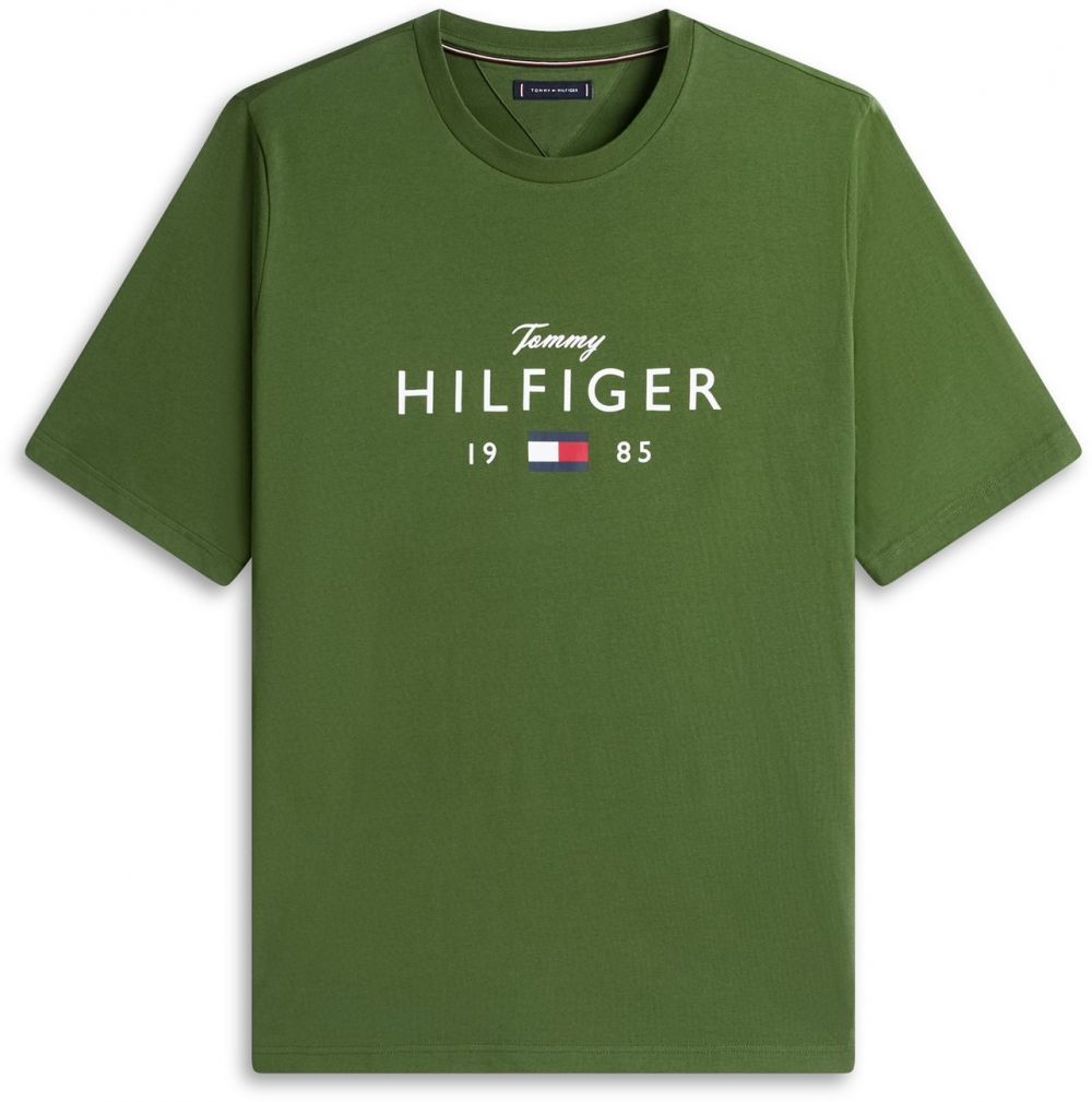 Tommy Hilfiger Big & Tall Tričko  námornícka modrá / zelená / červená / biela