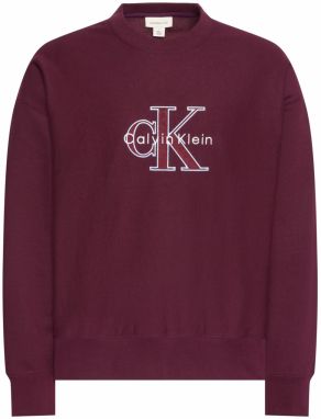 Calvin Klein Jeans Mikina  svetlomodrá / tmavosivá / farba lesného ovocia