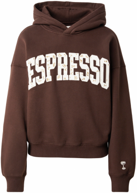 Abercrombie & Fitch Mikina  čokoládová / sépiová / biela