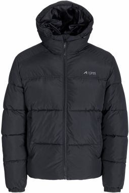 aprel Zimná bunda  sivá / čierna