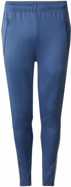 4F Športové nohavice  modrá / tmavosivá