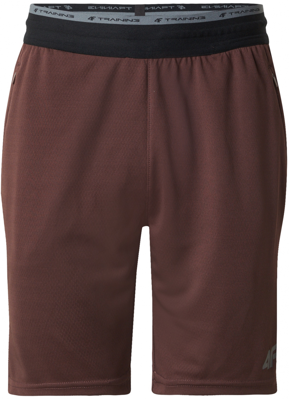 4F Športové nohavice  hnedá / čierna