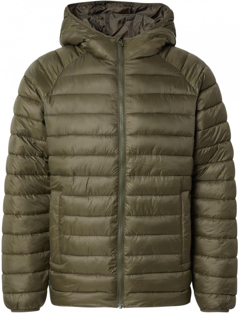 SELECTED Prechodná bunda 'SLHZJONES'  jedľová