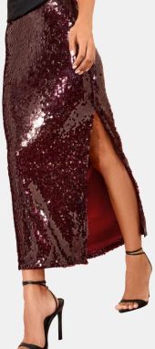 Friends Like These Sukňa  burgundská