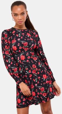 Lipsy Šaty  pastelovo zelená / červená / svetločervená / čierna