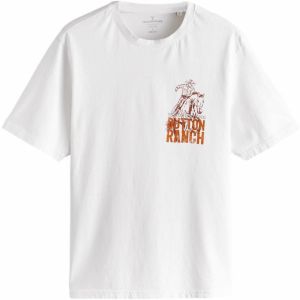 Next Tričko  sivá / oranžová / biela