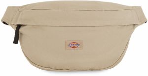 DICKIES Ľadvinka  svetlozelená