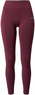 ICANIWILL Športové nohavice 'Smooth Seamless Tights W'  vínovo červená / strieborná