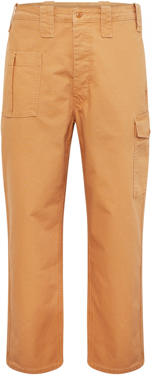 Levi's Skateboarding Kapsáče 'Skate New Utility Pant'  oranžová