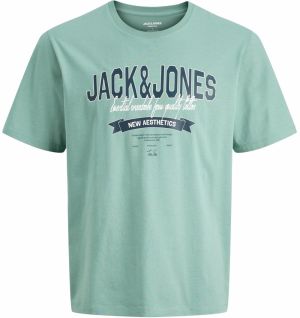 Jack & Jones Plus Tričko  tmavomodrá / mätová / biela